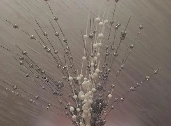 Lux Ss Pekovic 公寓 兹拉蒂博尔