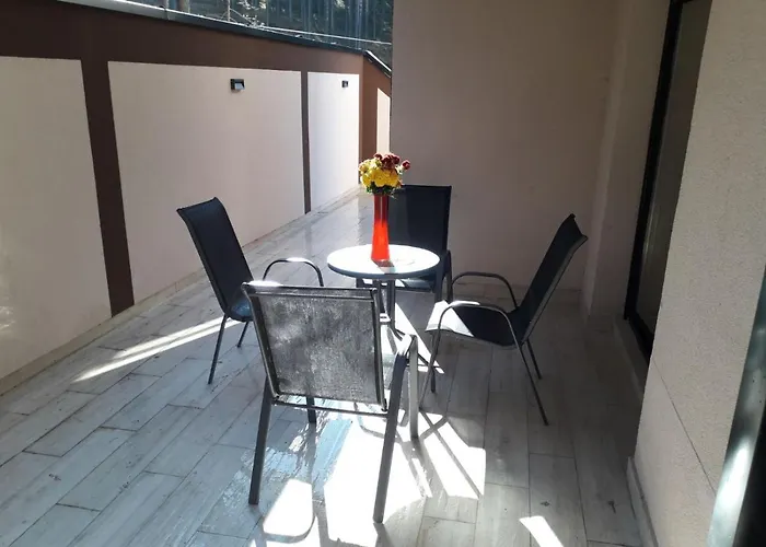 Lux Ss Pekovic 公寓 *